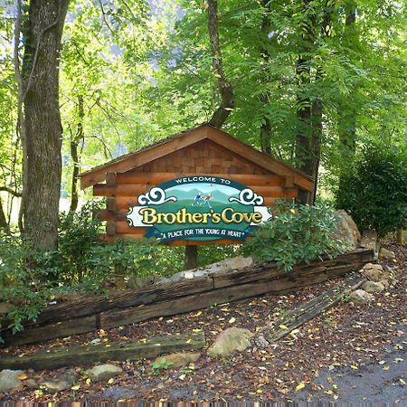 Villa Mountain Magic #73 Sevierville Exterior foto